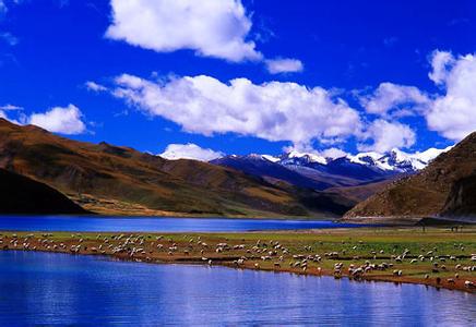西藏山南天气预报一周7天10天15天