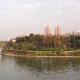 上海大宁灵石公园
